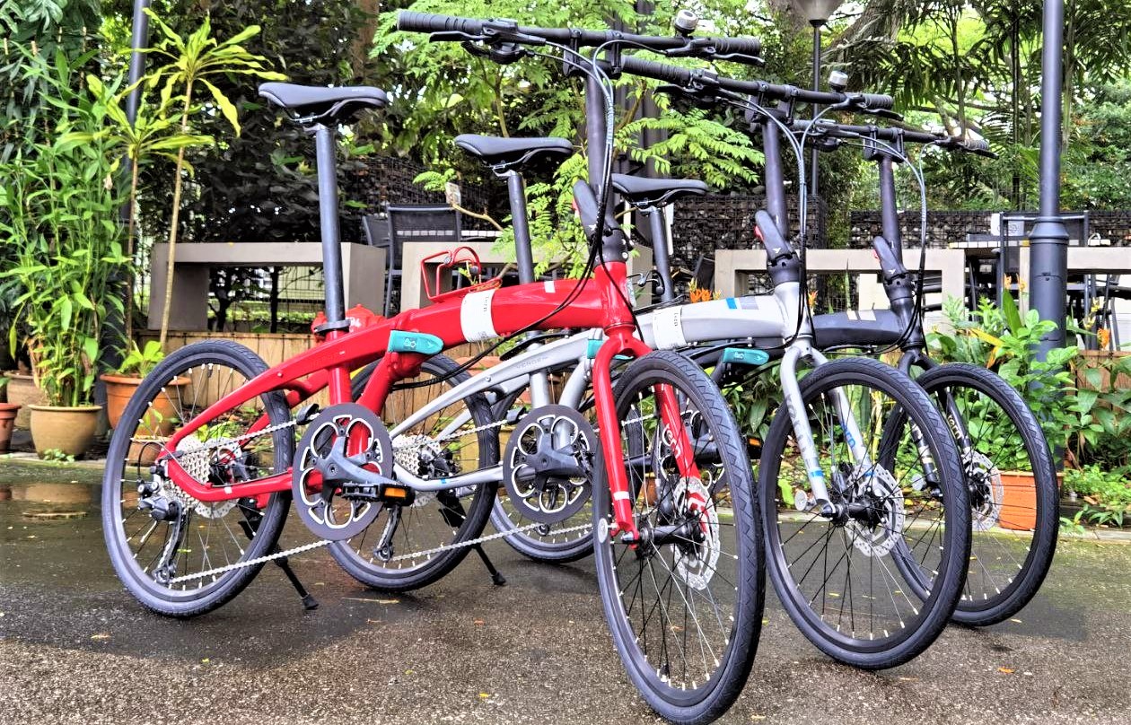 TERN Foldable Verge D9 (EXPORT)